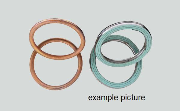 Centauro Exhaust Pipe Gasket 10 pcs