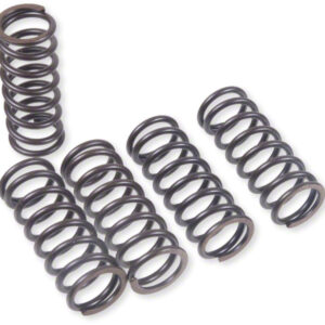Prox Clutch Spring Kit