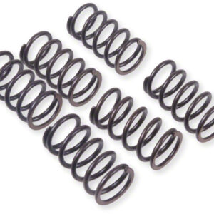 Prox Clutch Spring Kit