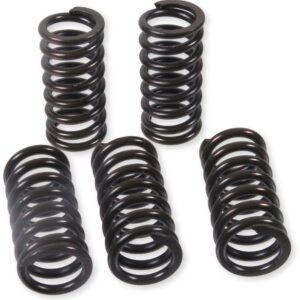 ProX Clutch Spring Kit