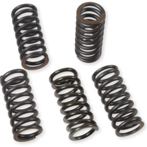 Prox Clutch Spring Kit