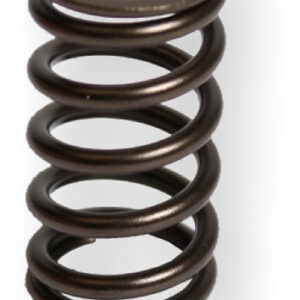 Xceldyne Intake Valve Spring - 3 Pack