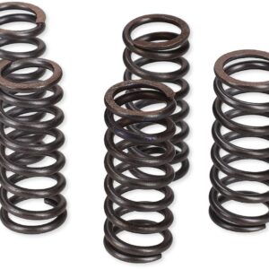 ProX Clutch Spring Kit