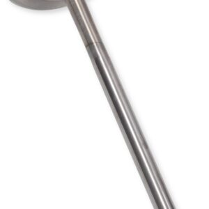 ProX Titanium Intake Valve
